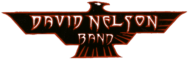 David Nelson Band link!